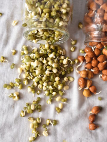 how to make sprouts? priyascurrynation.com