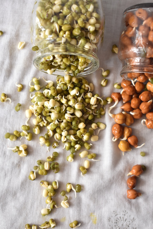 how to make sprouts at home? tips and tricks. #easyrecipes #healthy priyascurrynation.com