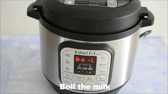 Instant pot sales yogurt button temperature