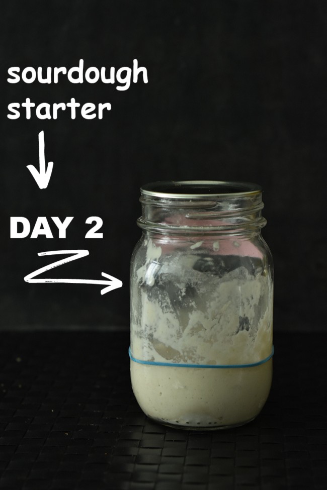 This how your sourdough starter looks on day 2