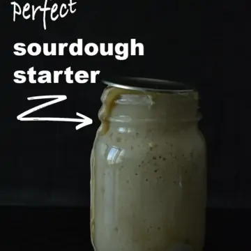 how to make a perfect sourdough starter? priyascurrynation.com
